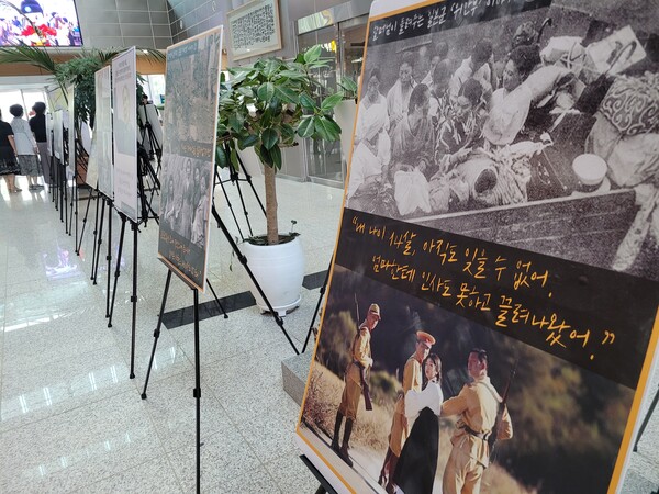 세종시 교육청에서 열린 일본군 위안부 피해자 사진전. /사진=권예진 기자
