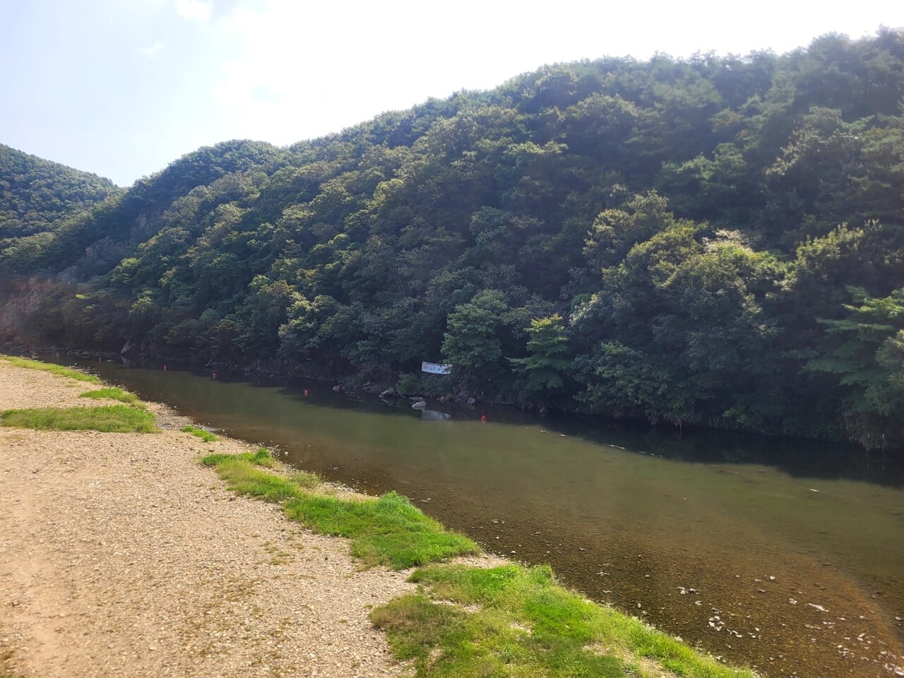 댐이 건설되면 수몰될 것으로 예상되는 지천 까지유원지 일대. 김다소미 기자. 