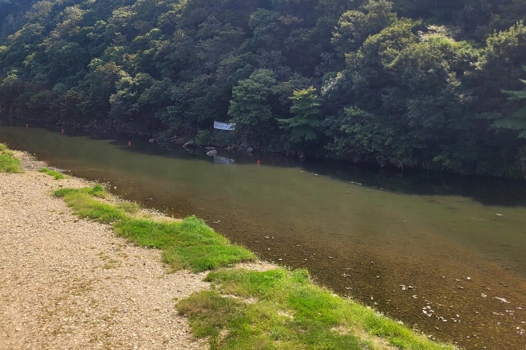 댐이 건설되면 수몰될 것으로 예상되는 지천 까지유원지 일대. 자료사진. 