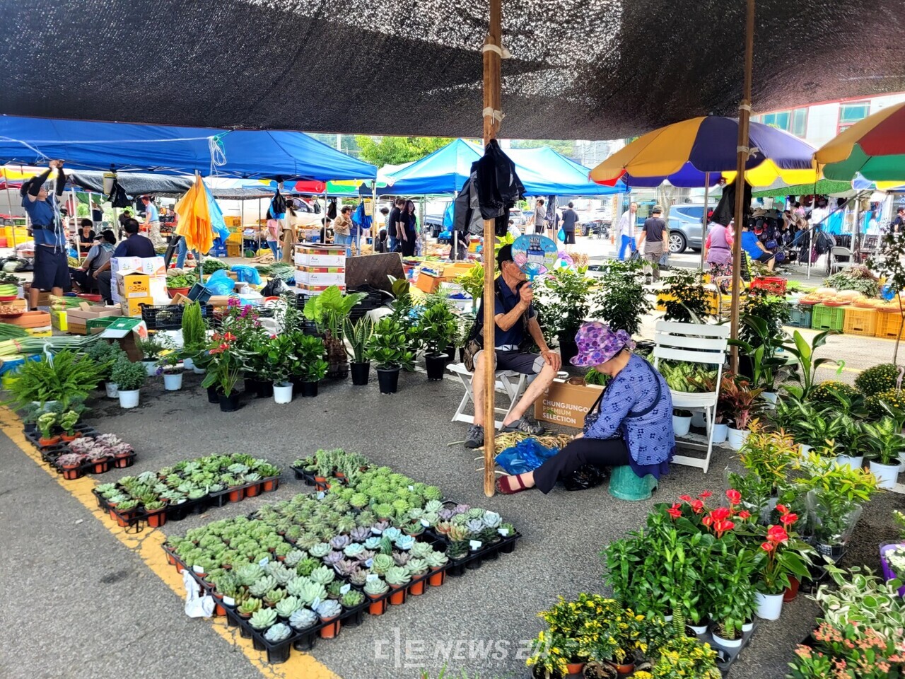 추석 대목 기간인 15일 오후 예산오일장 모습. 상인들은 지난 맥주축제 기간과 장날 기간이 겹치며 장이 안서자 생계에 큰 타격을 입었다고 토로했다. 김다소미 기자. 