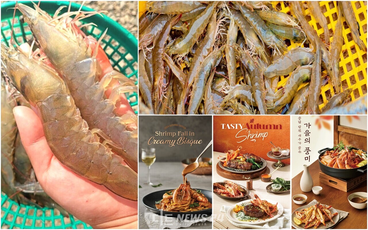 CJ푸드빌㈜의 대표 외식업체인 빕스, 더플레이스, 제일제면소가 최근 충남 당진 새우를 활용한 메뉴를 잇따라 출시했다.