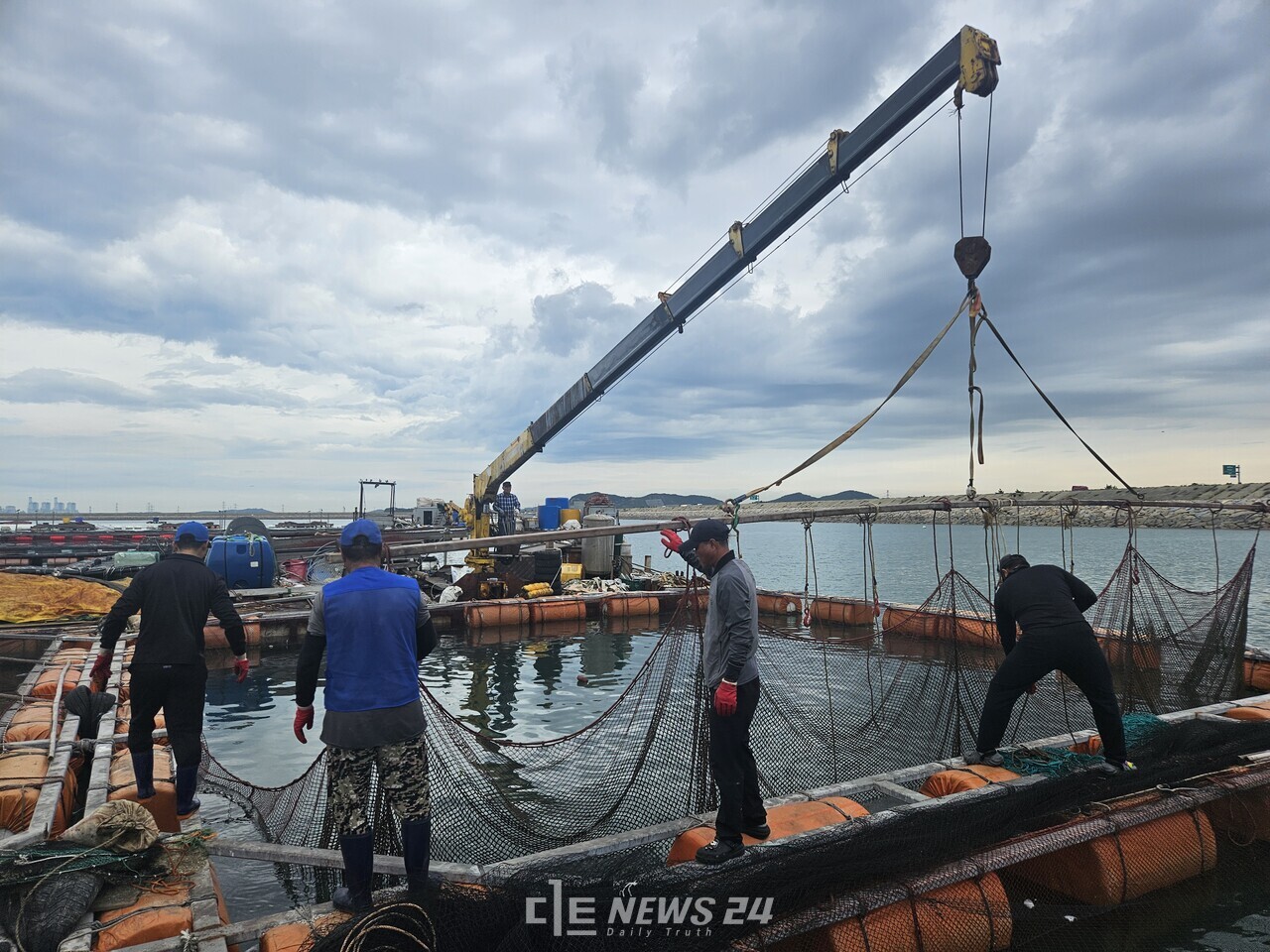 천수만 양식어장 복구 모습. 충남도
