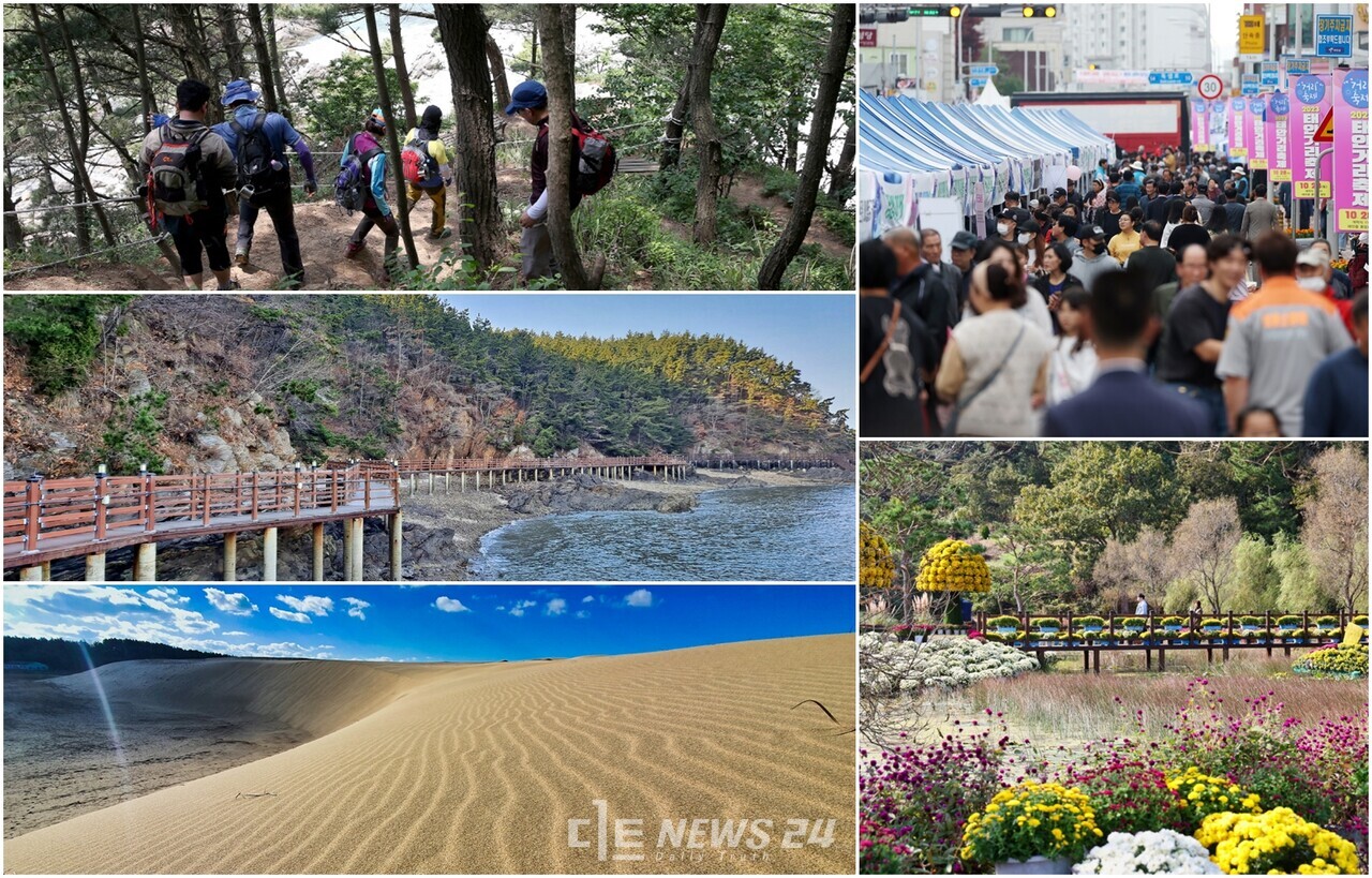 10~11월 태안 지역 곳곳에서 ‘솔향기길 축제’를 비롯해 ‘태안거리축제’, ‘태안국화축제’, ‘대한민국 사구축제’, ‘학암포 붉은노을 축제’ 등 다채로운 행사가 펼쳐진다.