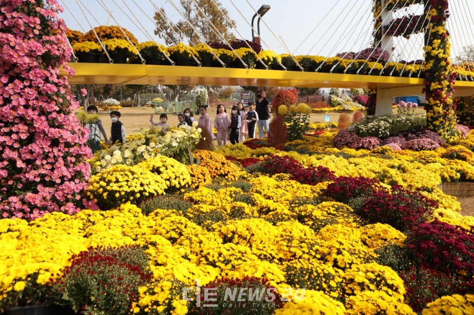 형형색색의 아름다운 국화를 한눈에 볼 수 있는 제15회 당진국화전시회가 오는 25일부터 다음달 3일까지 열흘간 합덕농촌테마공원에서 열린다.