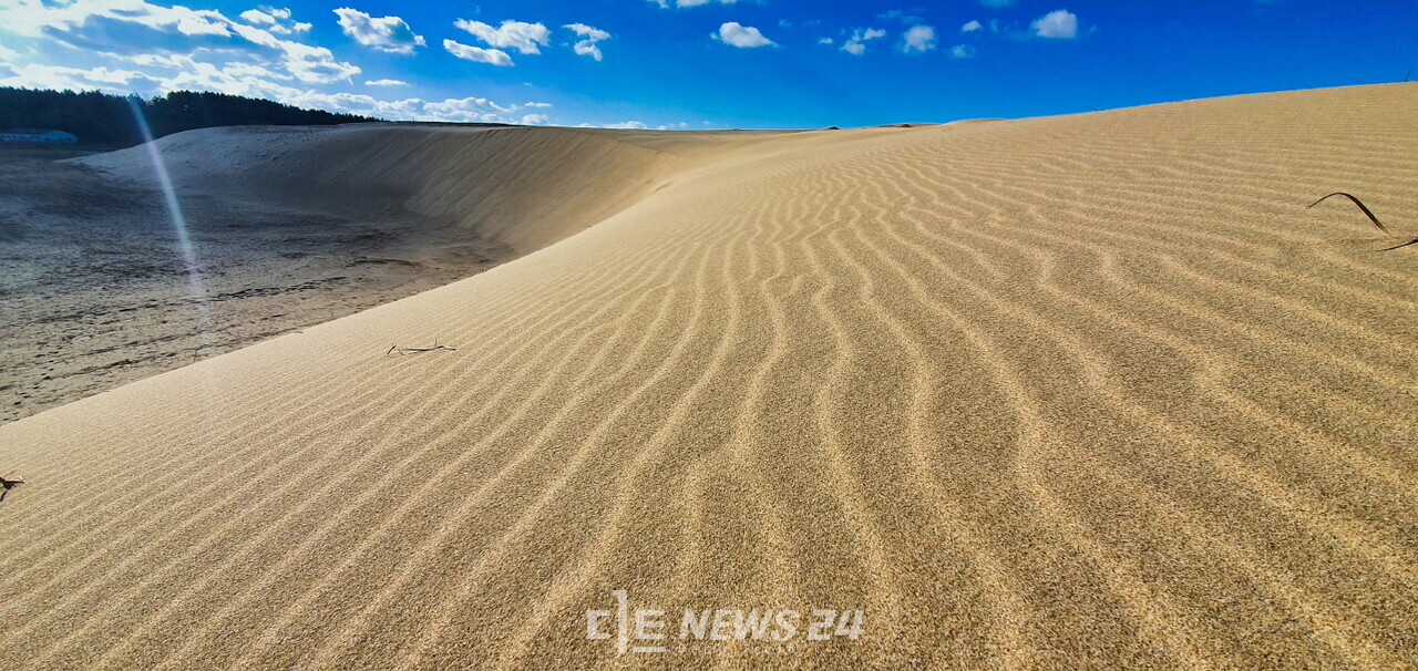 11월 2일 대한민국 사구축제가 열리는 원북면 신두리 해안사구. 태안군