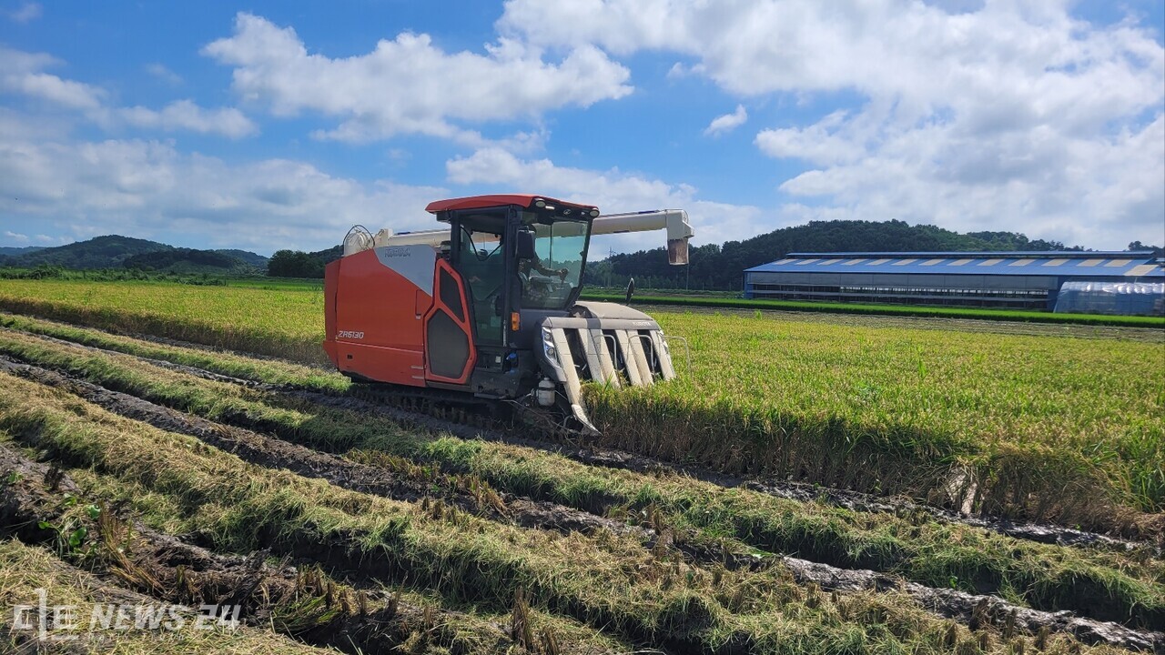 벼를 수확하는 모습. 자료사진. 
