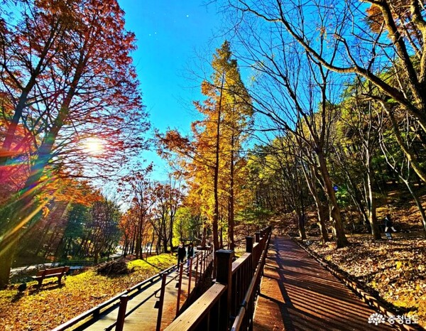 천안 태조산 무장애나눔길