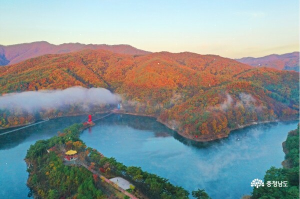 청양 천장로 숲길