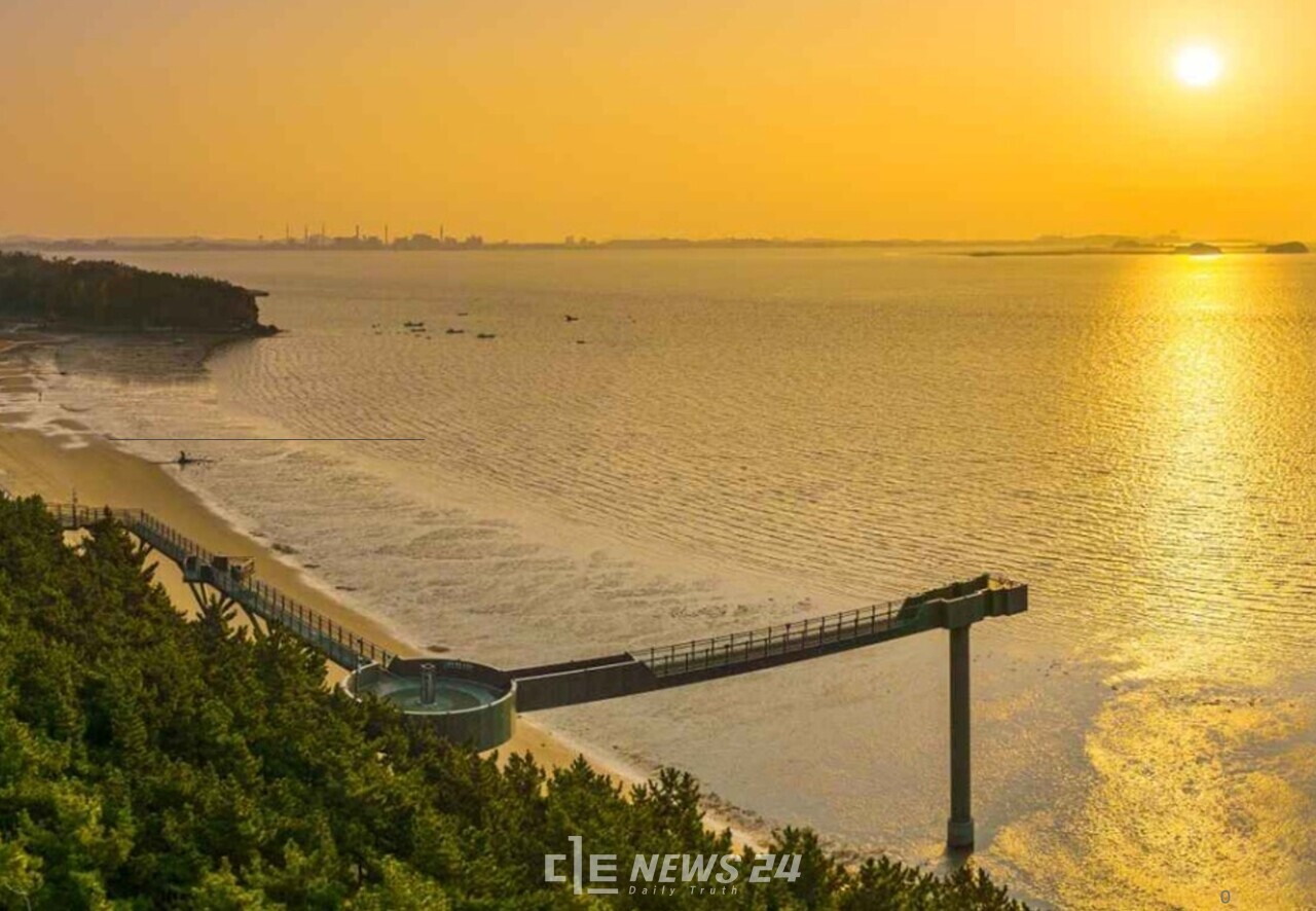 매년 35만 명이 찾은 서천 장항스카이워크가 진화한다. 30억 원을 투입해 2027년까지 송림숲 방향으로 100m를 확장하고, 종단부에 계단을 신설해 시종점을 분리할 계획이다. 서천군
