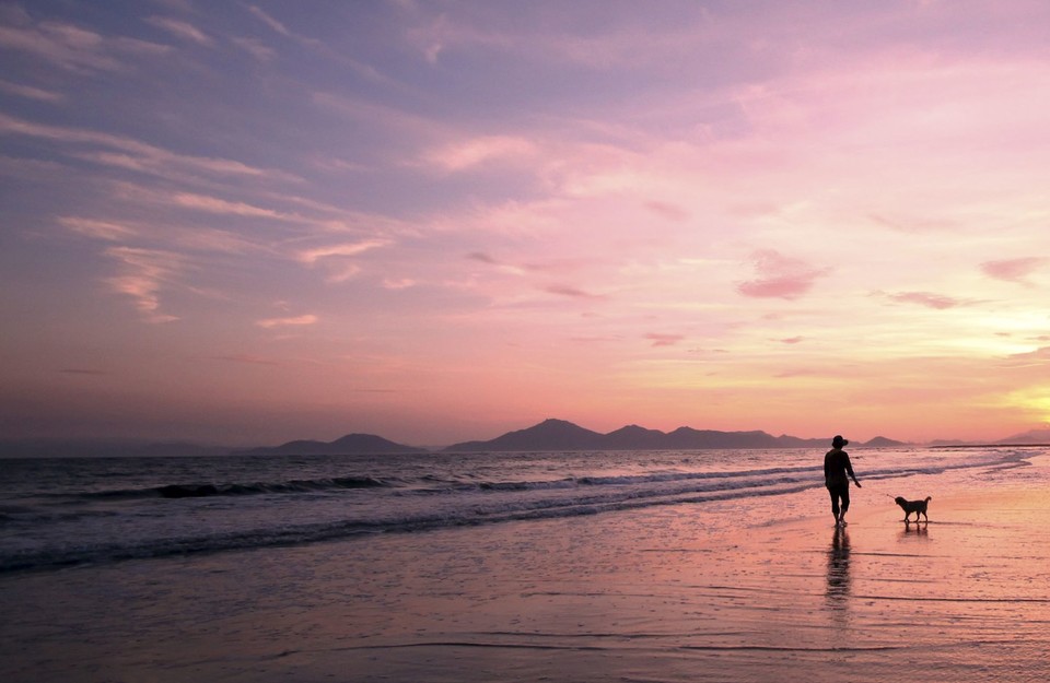 태안군은 2023년 국내 최초로 반려동물 친화관광도시로 선정됐다.