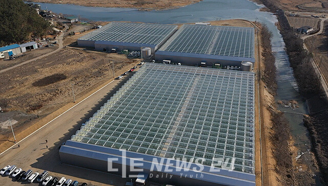 당진시농업기술센터 스마트팜 청년 농업인을 모집한다. 당진시 석문면 스마트팜 전경. 당진시