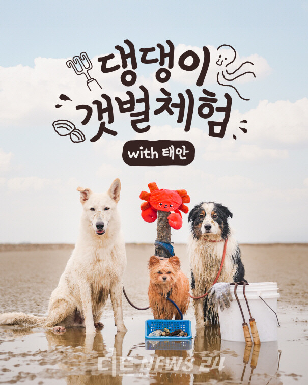 ‘반려동물 친화관광도시’ 태안군이 ‘2025 태안 방문의 해’를 맞아 한국관광공사와 함께 다음달까지 반려동물 동반 갯벌 체험 프로그램을 운영한다. 태안군