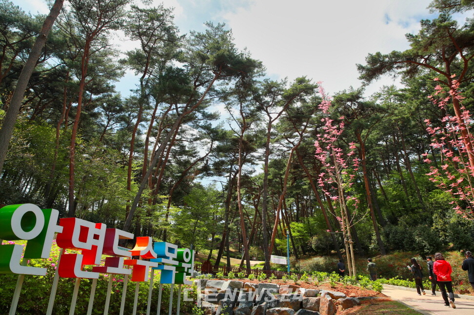 태안군이 ‘2025 태안 방문의 해’를 맞아 오는 26일 오후 2시 안면도 자연휴양림(안면읍 안면대로 3195-6) 내 잔디광장 및 수목원 내 공연장에서 ‘태안 방문의 해 기념 숲속 음악회’를 연다. 태안군