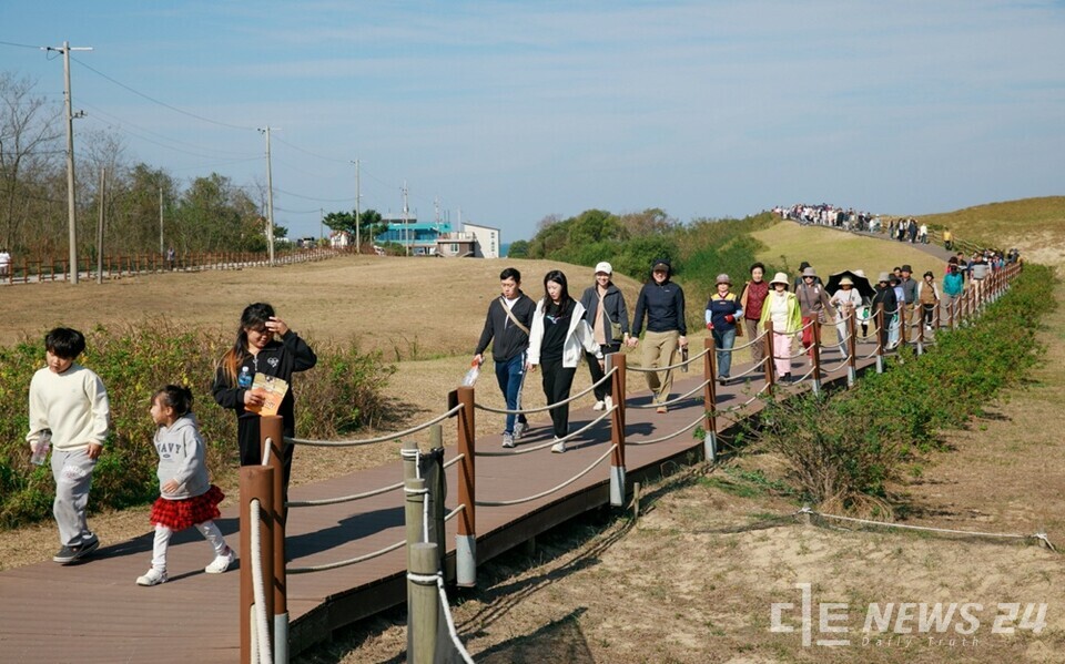 지난해 11월 2일 개최된 사구축제 모습. /태안군