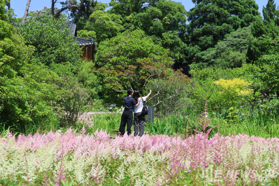 여름꽃이 만개한  충남 태안군 천리포수목원 모습. /천리포수목원