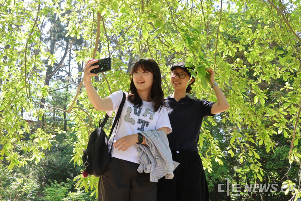 태안 천리포수목원을 찾아 신록을 배경으로 셀카를 즐기고 있는 관광객들 모습. /천리포수목원