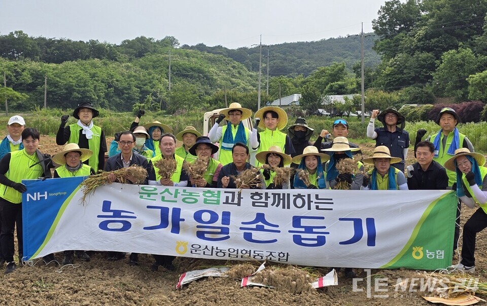 농협 서산시지부가 13일 본격적인 영농철을 맞아 충남 서산시 운산면 한 농가의 마늘수확 현장에서 일손돕기를 하며 구슬땀을 흘렸다. 사진은 마늘수확 일손돕기 참석 임직원들의 기념촬영 모습. /농협 서산시지부