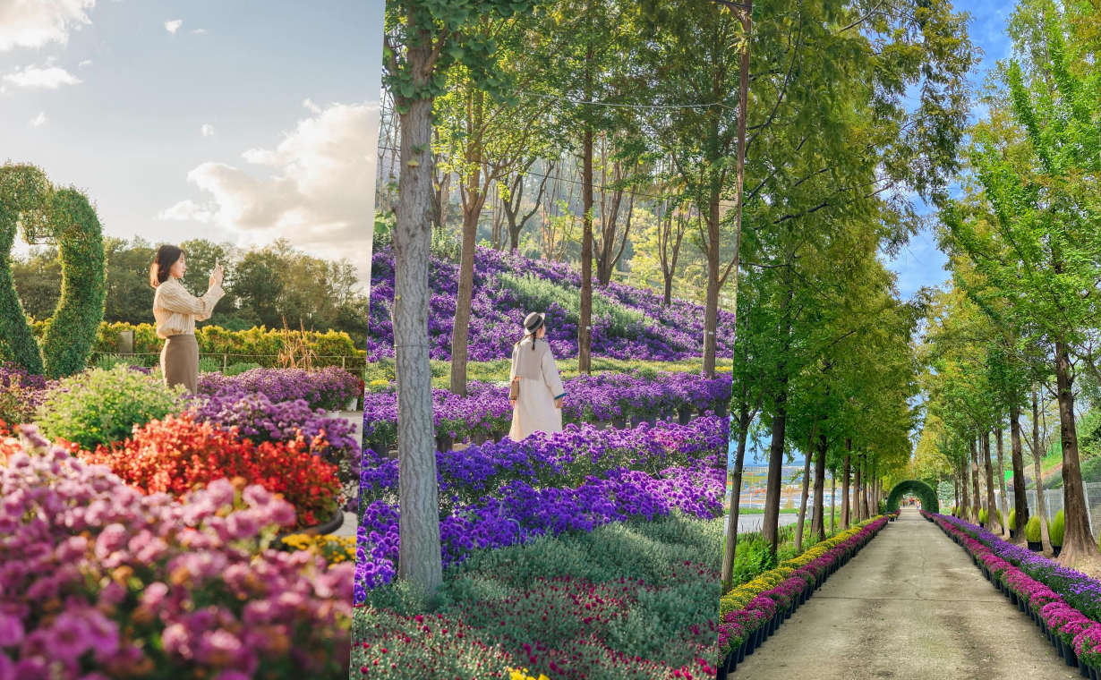 아산 피나클랜드 모습. 공식 피나클랜드 홈페이지 발췌. 