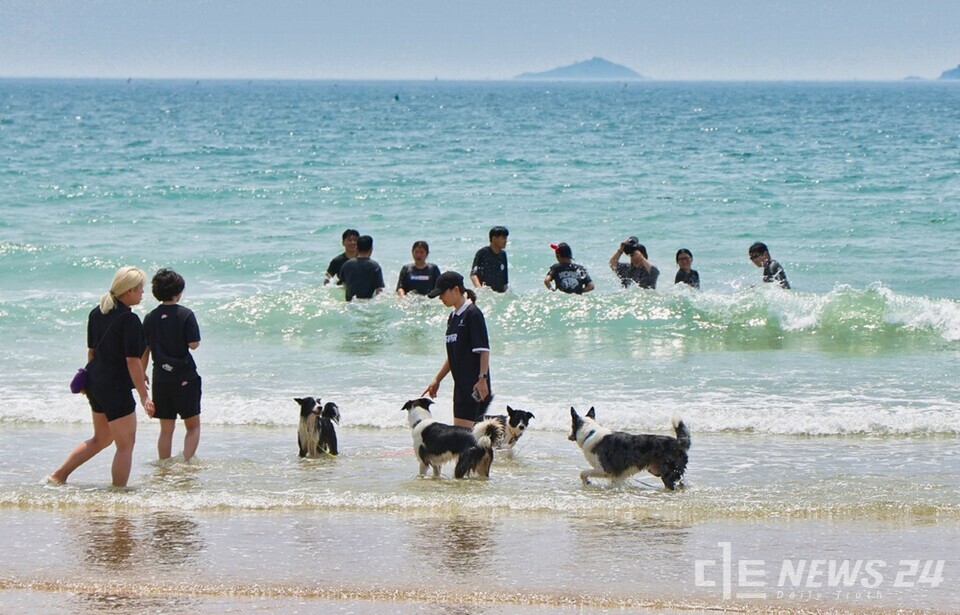 충남 태안군 꽃지 해수욕장 모습. /태안군
