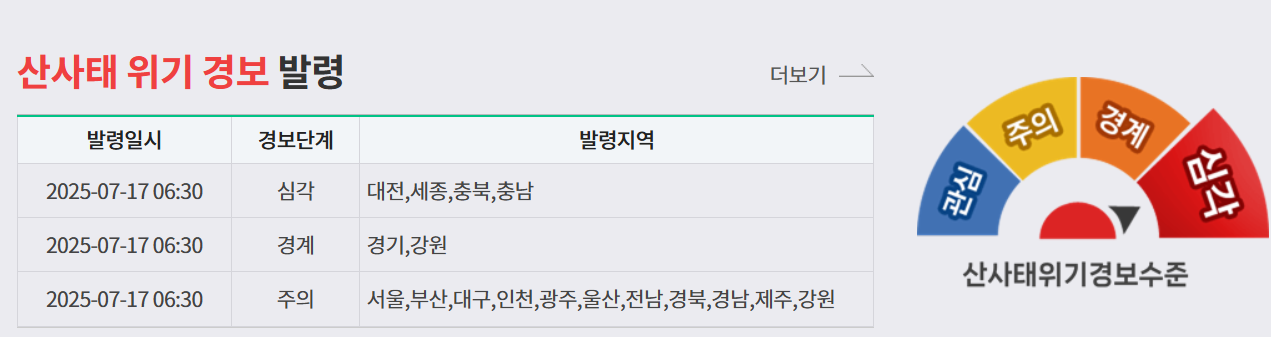 산림청 홈페이지 갈무리.