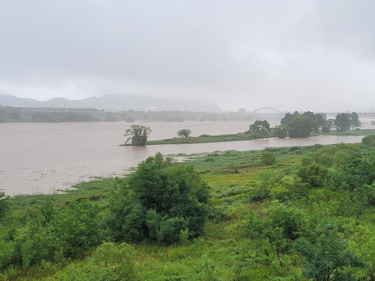 17일 세종시에 호우경보가 발효된 가운데 많은 비로 금강 수위가 올라갔다. /사진=권예진 기자