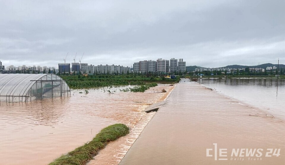 호우경보가 발효된 충남 서산시에 간밤에만 440mm가 넘는 폭우가 쏟아져 도로와 논밭이 물에 잠겨 있다. /독자 제공