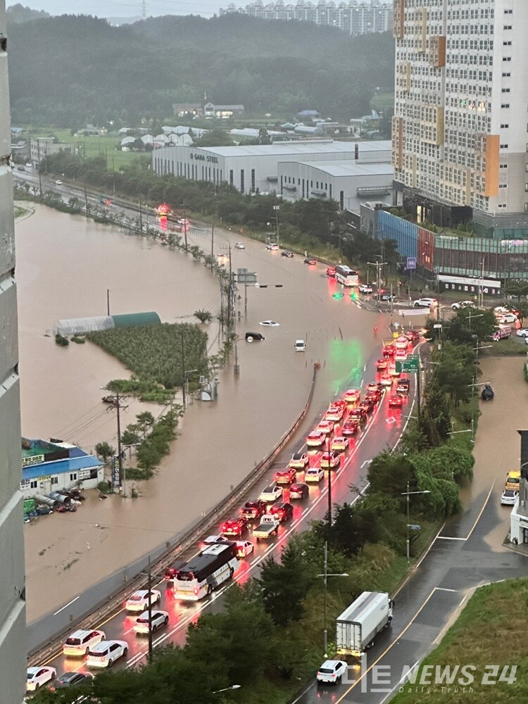 사진=독자 제공