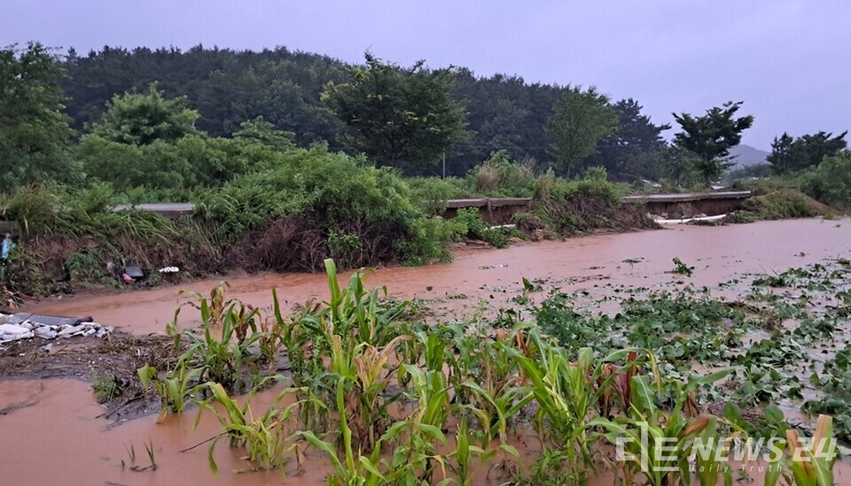 밤새 내린 집중호우로 서산지역 농경지 침수 모습. /서산시