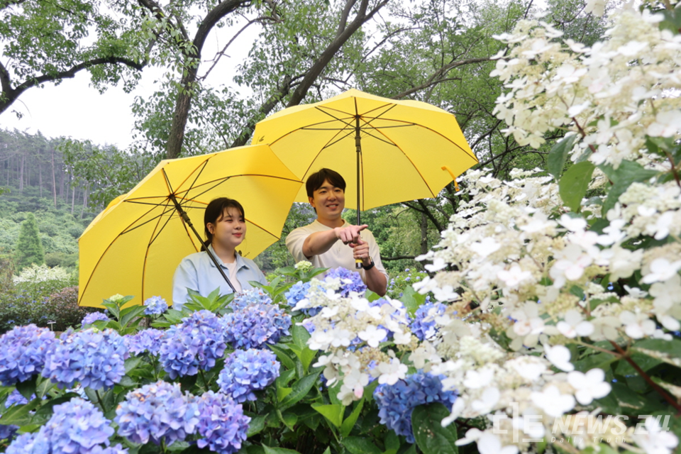충남 태안 천리포수목원이 여름 휴가철을 맞아 태안을 찾은 관광객이 수목원에 더 오래 머무를 수 있도록 오는 19일부터 8월 17일까지 연장 운영을 실시한다. 사진은 16일 천리포수목원을 찾은 관광객들 모습. /천리포수목원 
