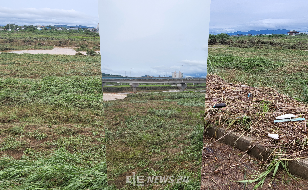 용동3리 마을을 이루는 하천 모습. 지금은 물이 다 빠졌지만 수마가 햘퀴고 간 흔적이 그대로 남아있다. 김다소미 기자. 