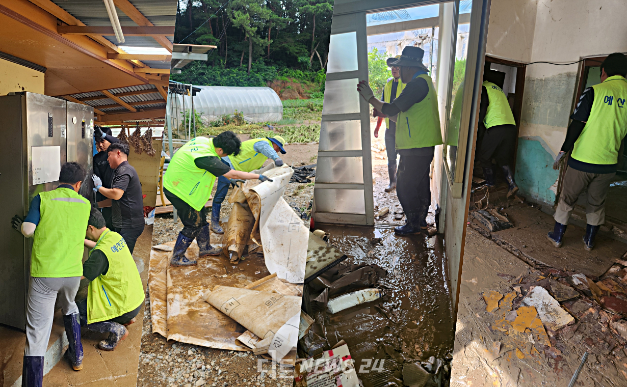 예산군민 571명이 집을 잃고 돌아가지 못하고 있다. 예산군은 전 공직자가 주말 수해 현장에 총동원돼 본격적인 복구 작업에 나섰다. 김다소미 기자. 