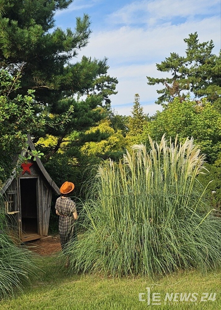 (사진=태안군 제공)