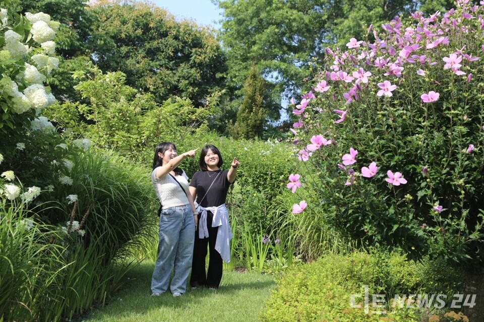 충남 태안군 천리포수목원이 광복절인 오는 15일부터 17일까지 3일간 천리포수목원과 무궁화동산 일대에서 ‘제7회 태안 천리포수목원 무궁화축제’를 개최한다. 사진은 천리포수목원을 찾은 관람객들이 무궁화동산에서 즐거운 시간을 보내고 있는 모습. /천리포수목원