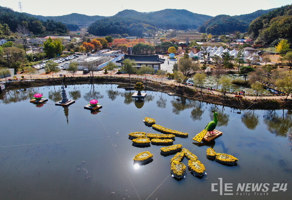 ‘꽃과 바다의 도시’ 충남 태안의 가을을 수놓은 ‘2025 꽃과 바다 태안국화축제’가 총 5만 3000명의 방문객 수를 기록하며 성황리에 막을 내렸다. 사진은 태안 국화축제장 모습. /태안군