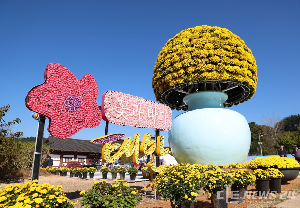 ‘2025 태안 국화축제’ 모습. /태안군