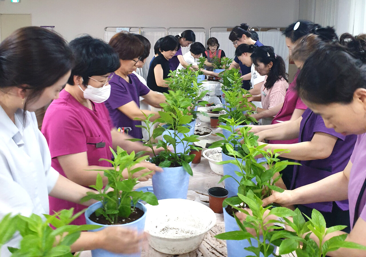 전문 강사 병행한 원예치료 모습. 백석문화대 제공