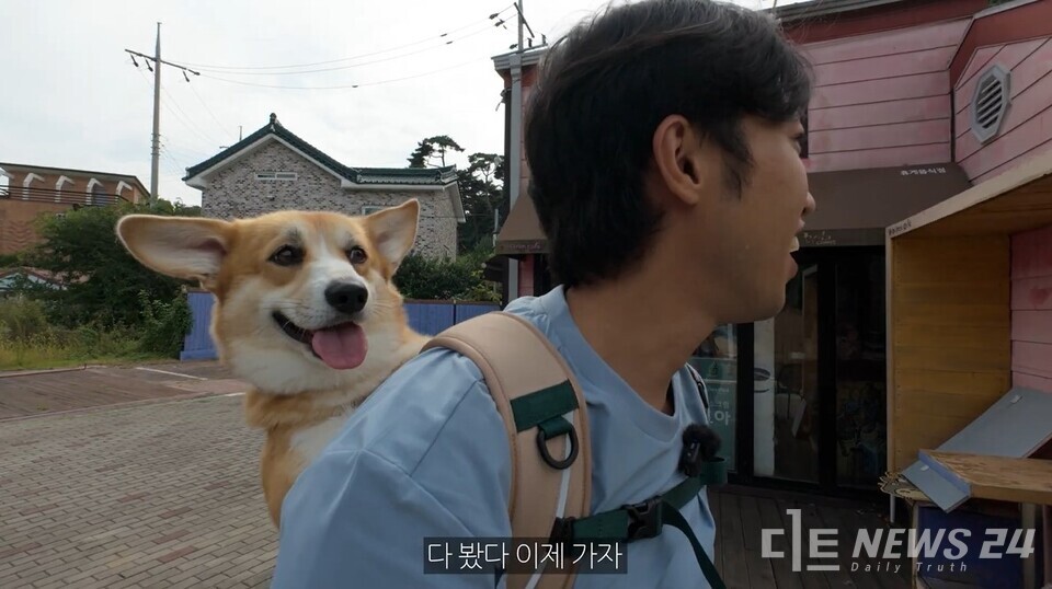 ‘반려동물 친화관광도시’ 충남 태안군이 국민들을 대상으로 실시한 ‘반려동물 동반여행 콘텐츠 공모전’이 총 134명의 참여 열기 속에 성공적으로 마무리됐다. 사진은 대상을 수상한 박민원 씨의 영상작품 캡처. /태안군