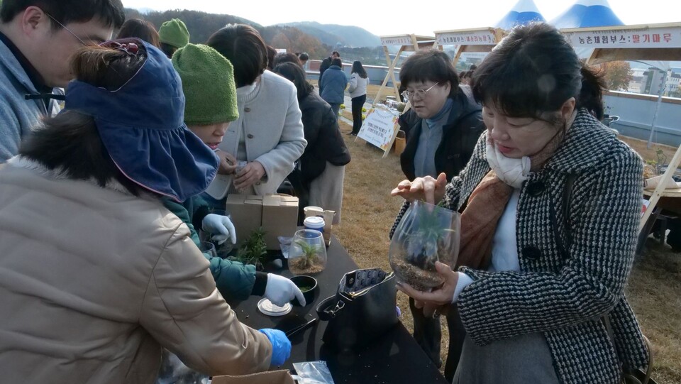 참가자들은 직접 만든 테라리움을 가져갈 수 있다. 