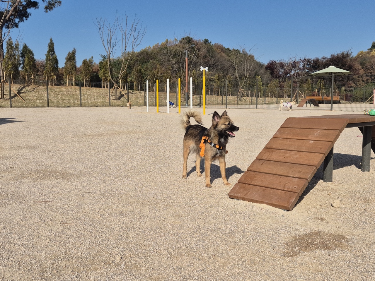 홍성군 은하면 대천리 570-6번지에 ‘반려동물 놀이터’를 25일 전면 개장했다. 약 400평(1,321㎡) 규모로 운동장, 벤치, 놀이기구 등 반려동물과 반려인을 위한 시설이 설치됐다.  홍성군 제공. 