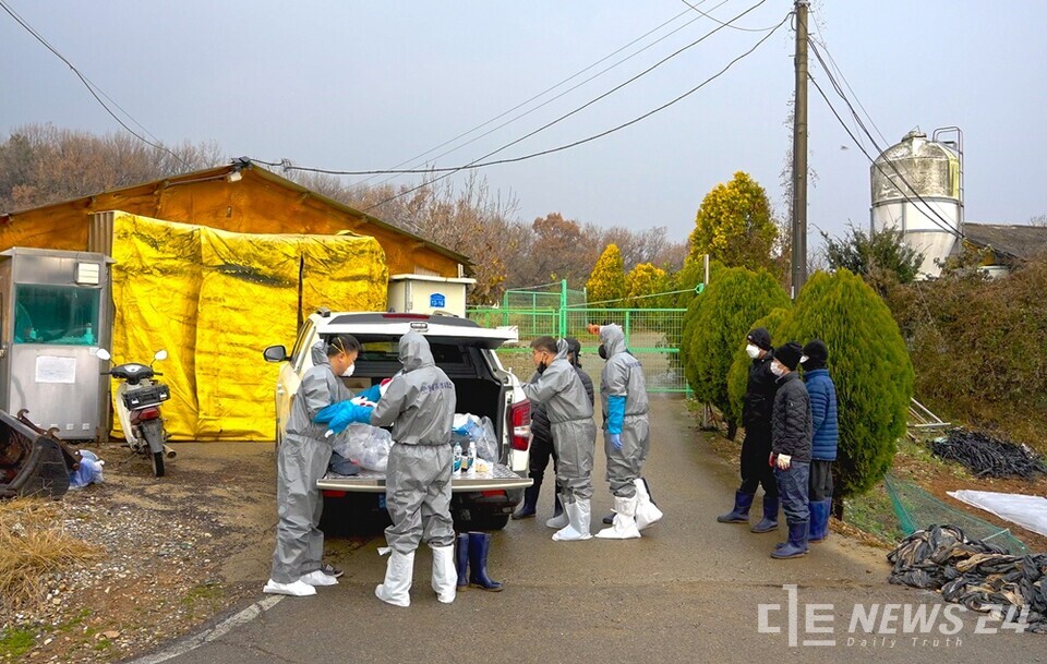 충남 당진시가 24일 송산면 무수리에 소재한 양돈농가에서 아프리카돼지열병(ASF)이 확진됨에 따라 긴급 방역체계를 가동했다고 25일 밝혔다. 사진은 양돈농가 방역 모습. /당진시