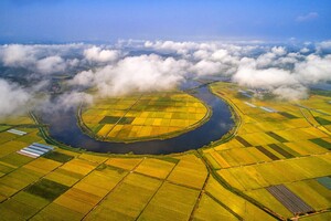농도 나주, '농생명 산업'으로 미래를 심다...농업의 산업화 본격 시동 - 뉴스 썸네일 이미지